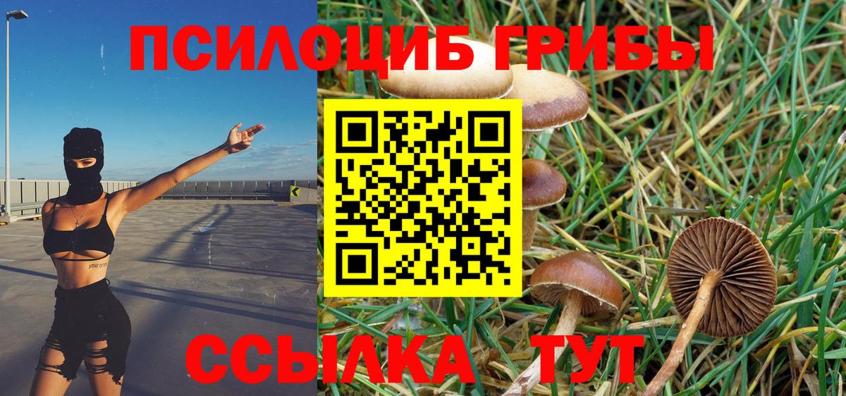 Воркута  Галлюциногенные грибы GOLDEN TEACHER  хочу   Псилоцибиновые грибы прущие грибы  Вход с VPN 