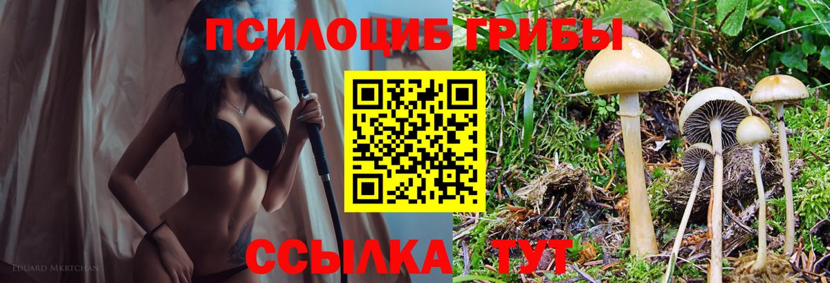 Галлюциногенные грибы мухоморы Воркута